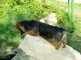 was ist denn da unten los....?  (05/06)