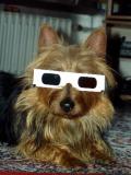 Cooler Typ     (11/2005)