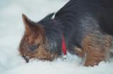 ....was ist denn da drunter?    (12/2005)
